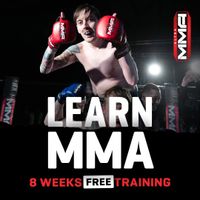 Ultra MMA
