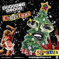Bongo's Bingo: NYE Special